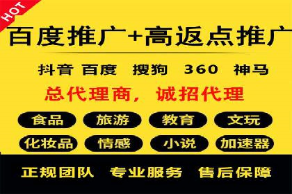 某公司SEM代理策略：实现流量转化